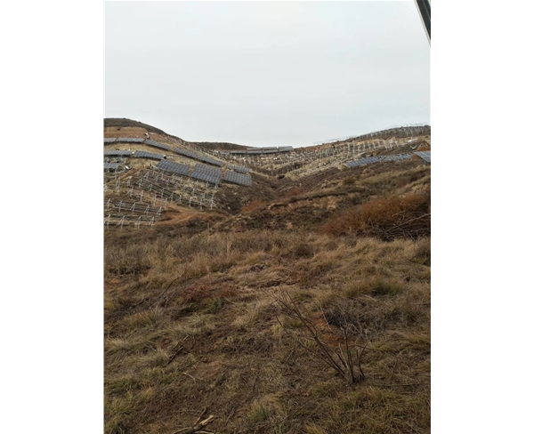 項(xiàng)目圖片 (1)
